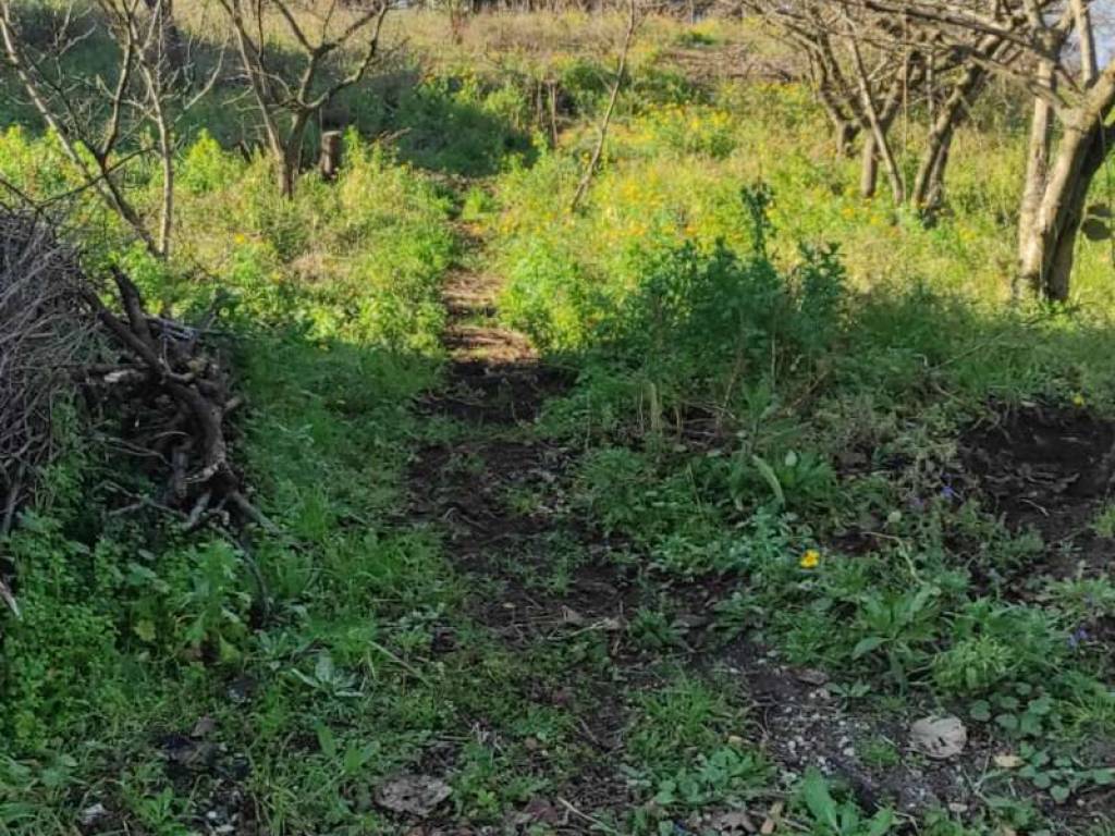 Terreno agricolo via aldo moro ii tratto snc, somma vesuviana