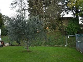 giardino (5)