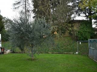 giardino (6)