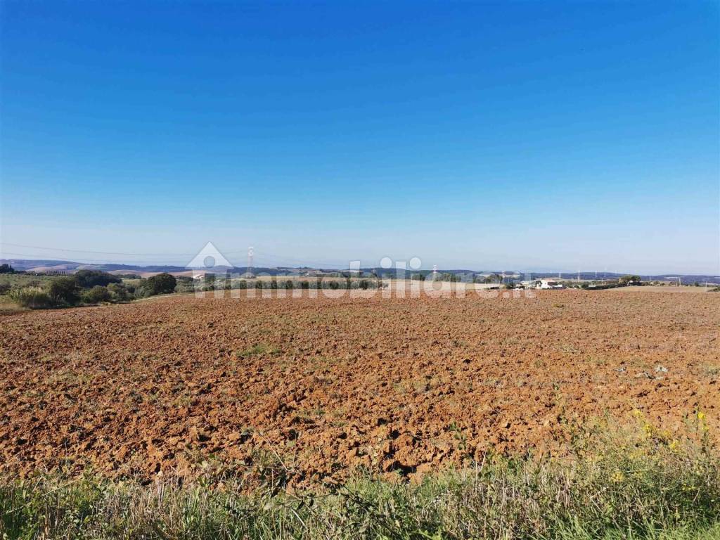 Maremma Vende  Azienda /Casale 