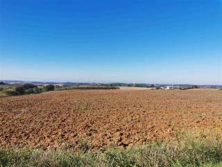 Maremma Vende  Azienda /Casale 