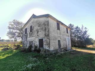 Maremma Vende  Azienda /Casale 