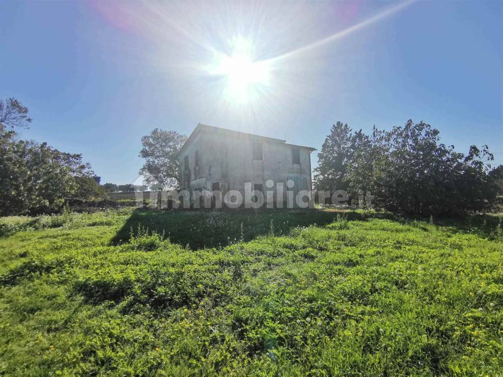 Maremma Vende  Azienda /Casale 