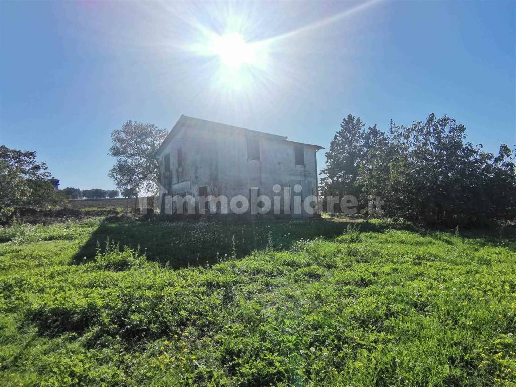 Maremma Vende  Azienda /Casale 