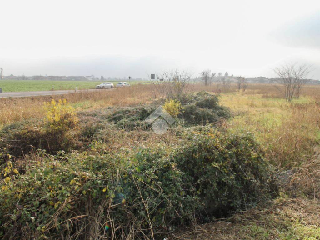 Terreno agricolo via lazzaretto 4, rovato