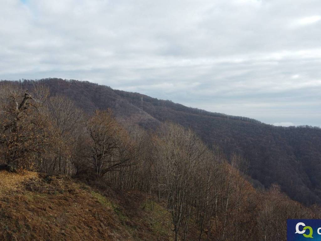 Vista dal Balcone