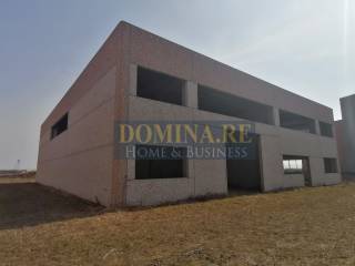 LOCALITA' FONTANETO CHIERI - DOMINA (2)