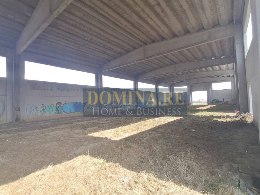 LOCALITA' FONTANETO CHIERI - DOMINA (4)