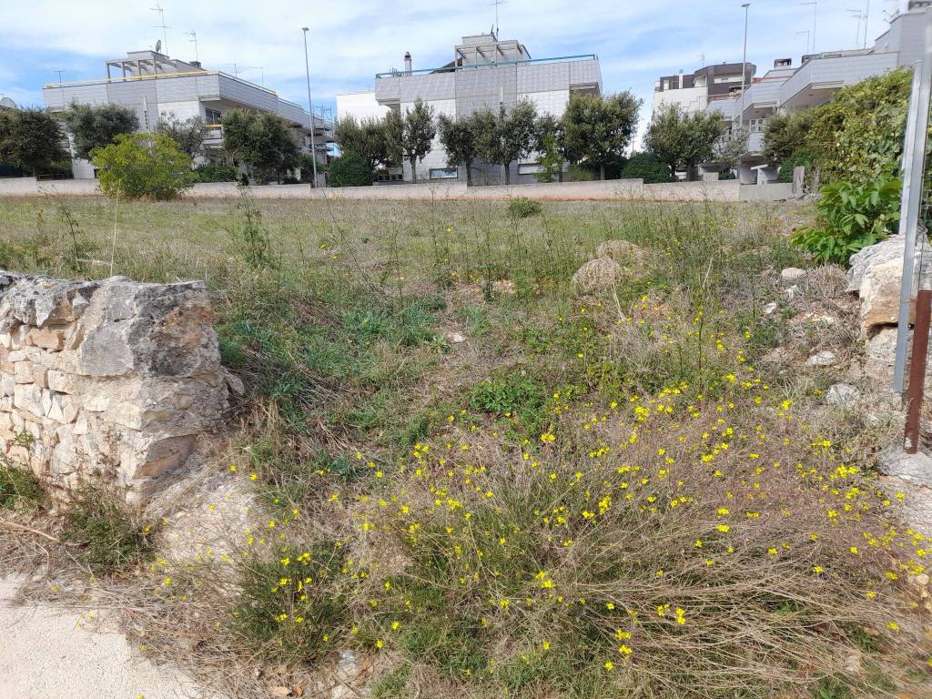 Terreno edificabile via giovanni guareschi 1, locorotondo