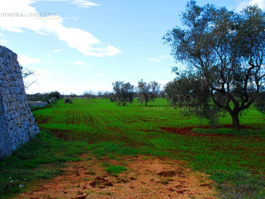 ingresso terreno