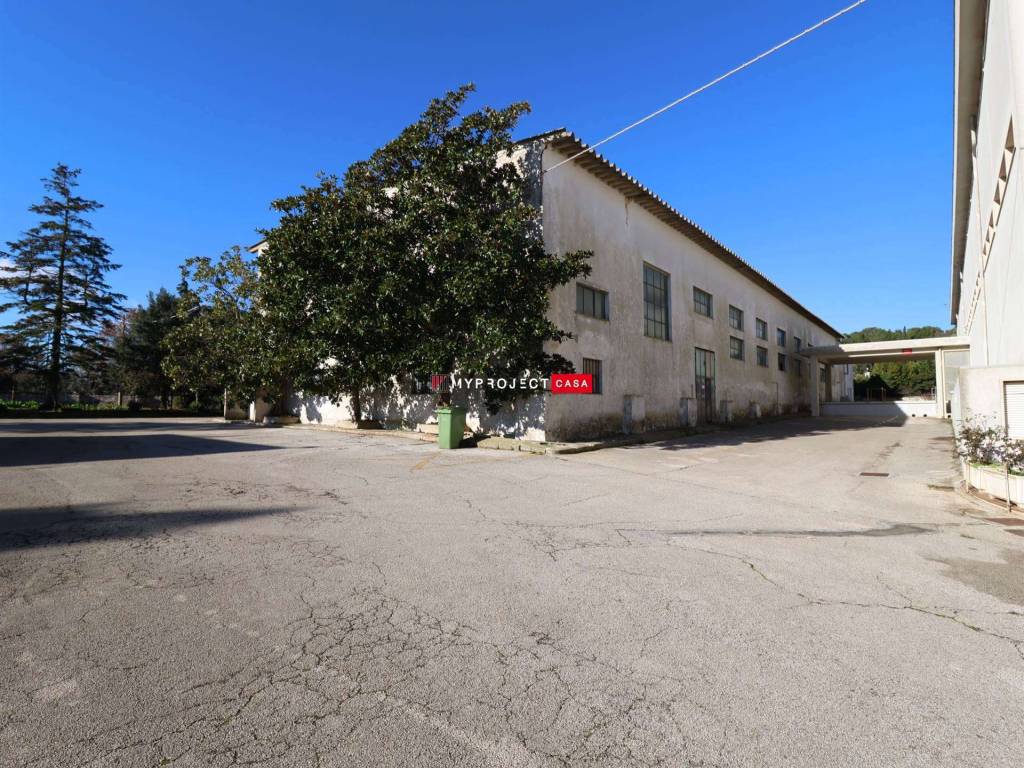 Prospetto principale 