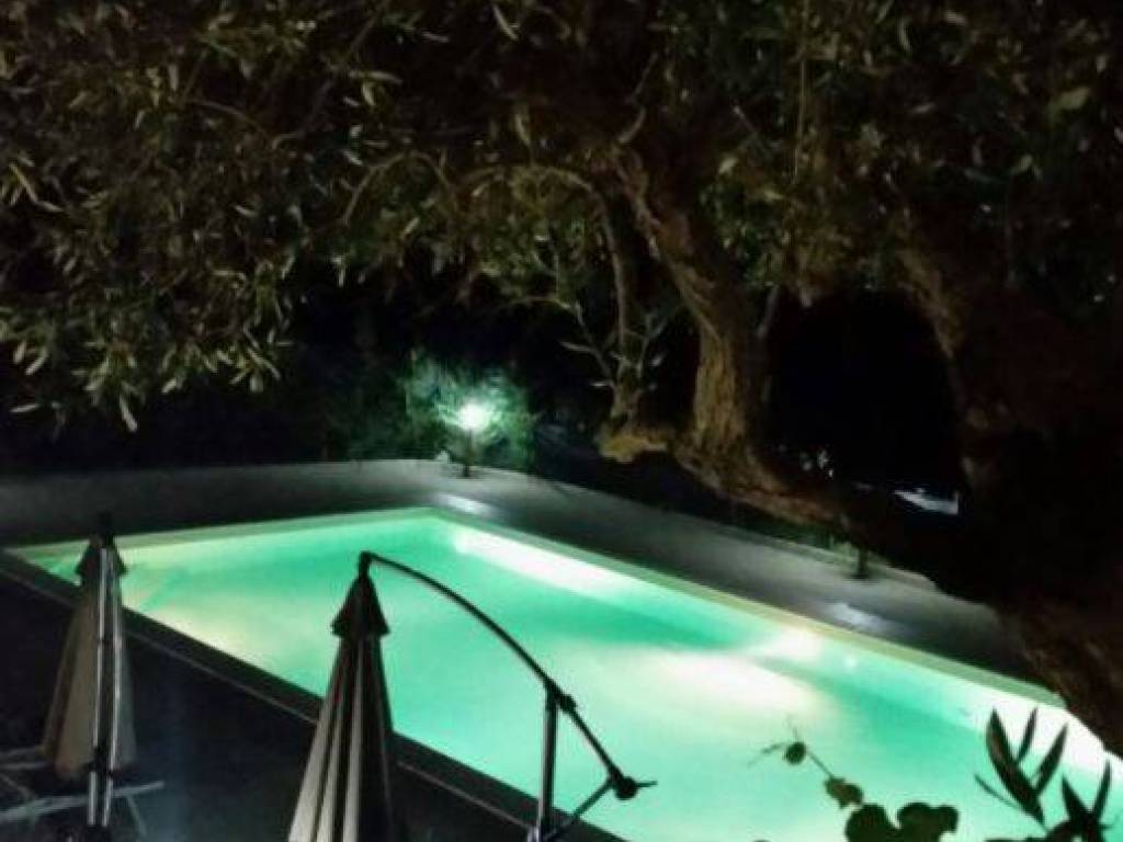 La piscina illuminata