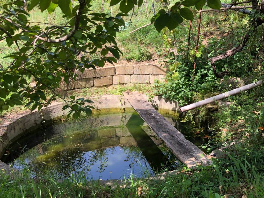 Vasca di raccolta acqua per irrigazione