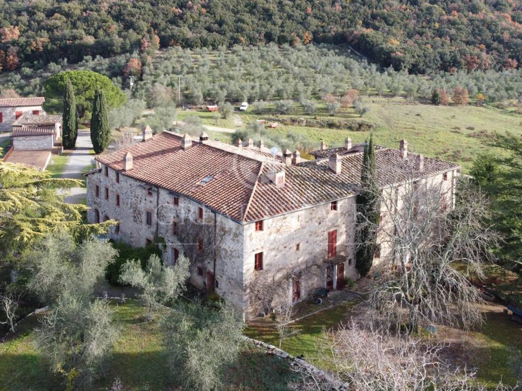 vendesi-azienda-vitivinicola-in-toscana-siena-castelnuovo-berardenga-16722297420176.jpg