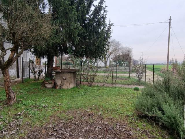 Este - Casa singola con giardino3