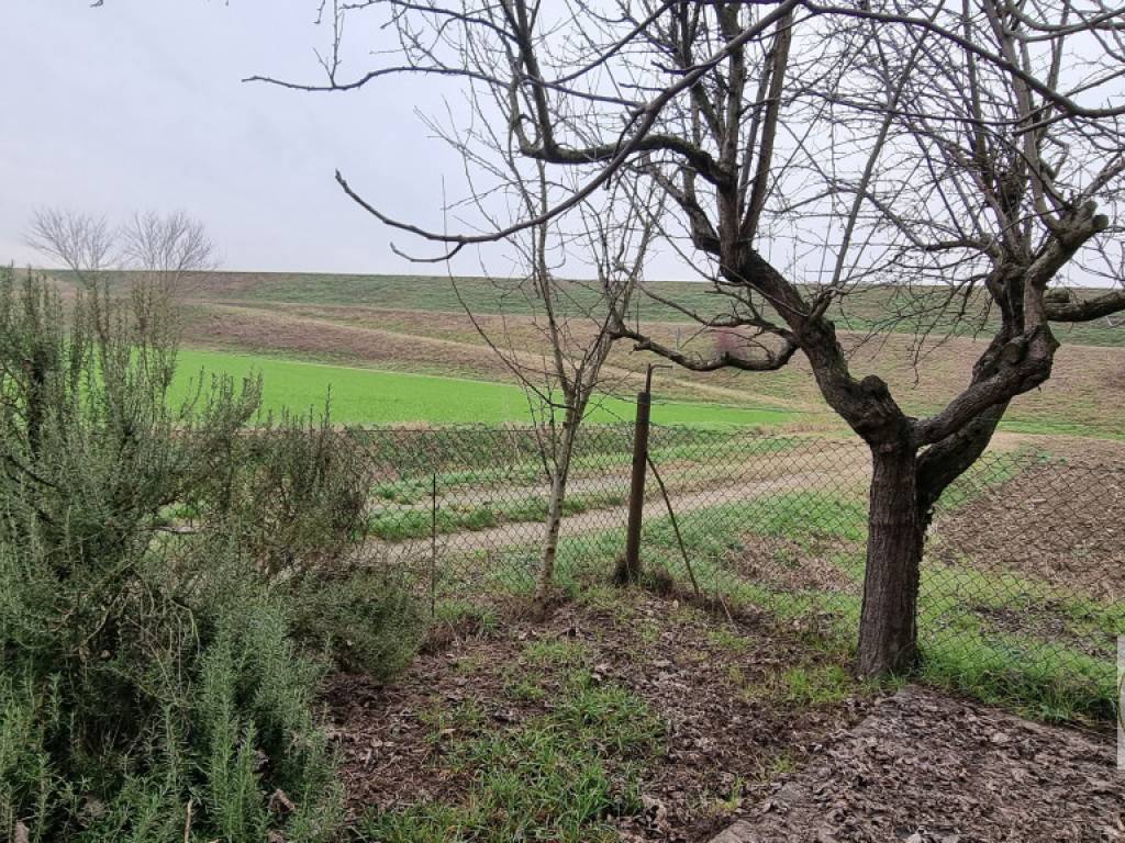 Este - Casa singola con giardino4