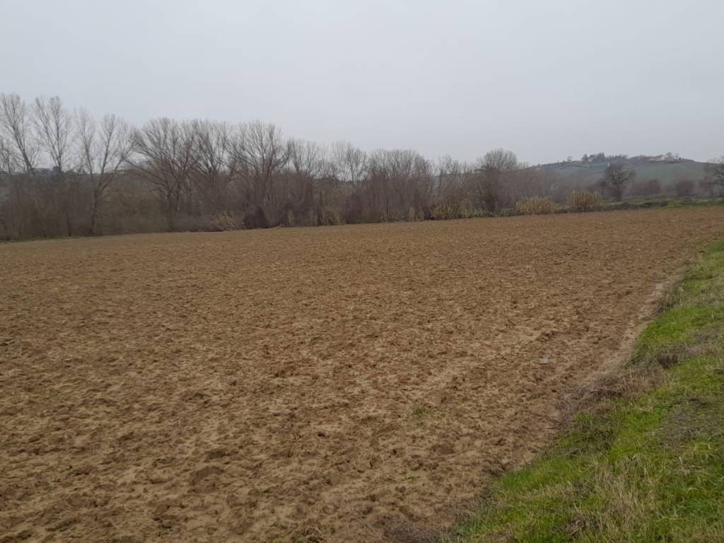 Terreno agricolo viale giacomo matteotti 1, centro, certaldo