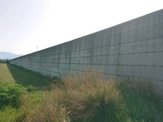 muro