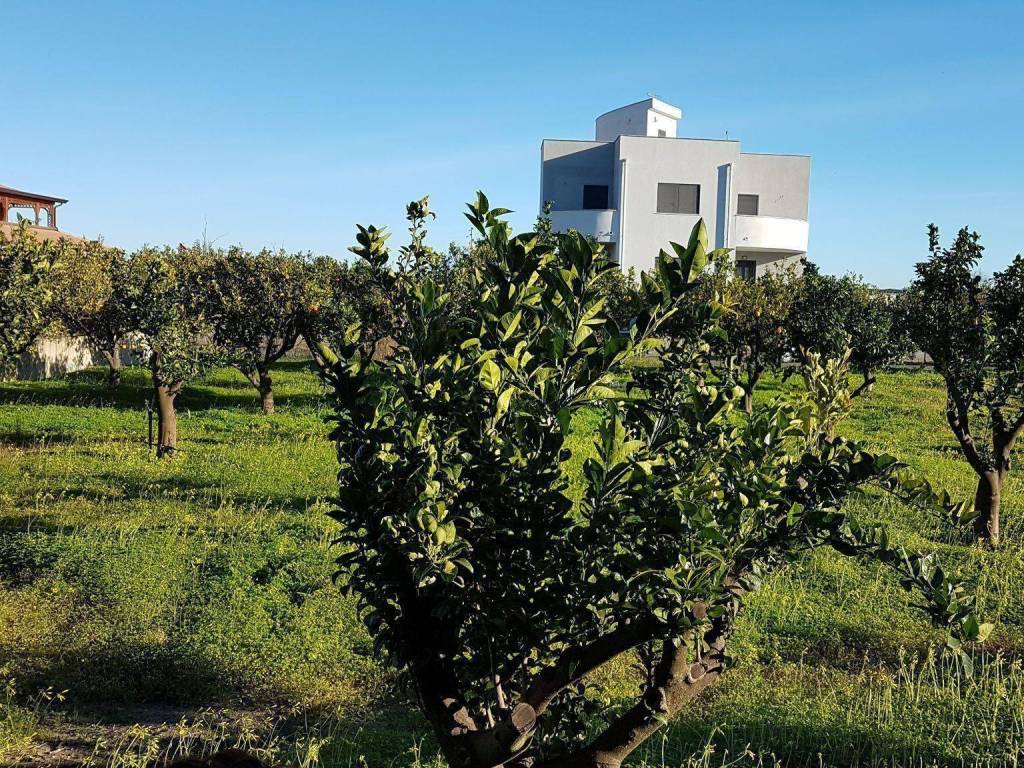 Terreno edificabile via dei melograni 3, zona capo rizzuto, apriglianello, papanice, crotone