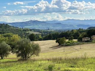 vista TODI