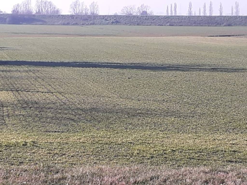 Terreno agricolo via ca' rossa, valli, chioggia