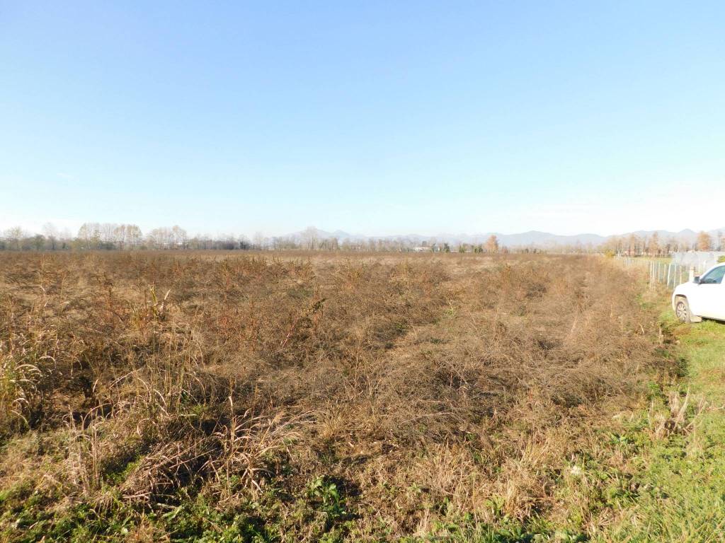 Terreno agricolo via roma, centro, urgnano