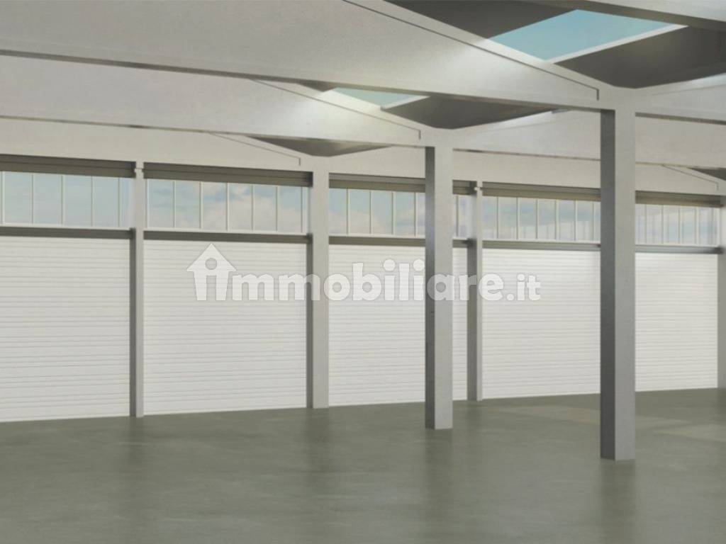 IMMAGINI