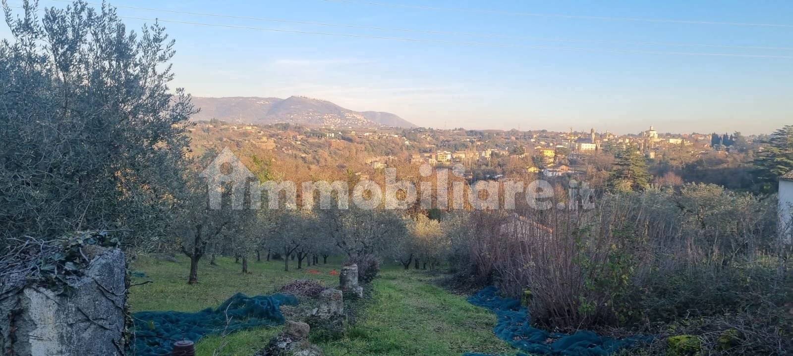 Terreno agricolo via Colle Ripa, Zagarolo, rif. 101061909 - Immobiliare.it