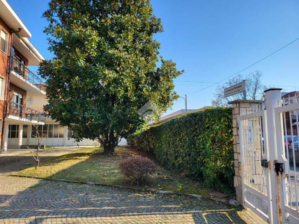 alberi interno cortile