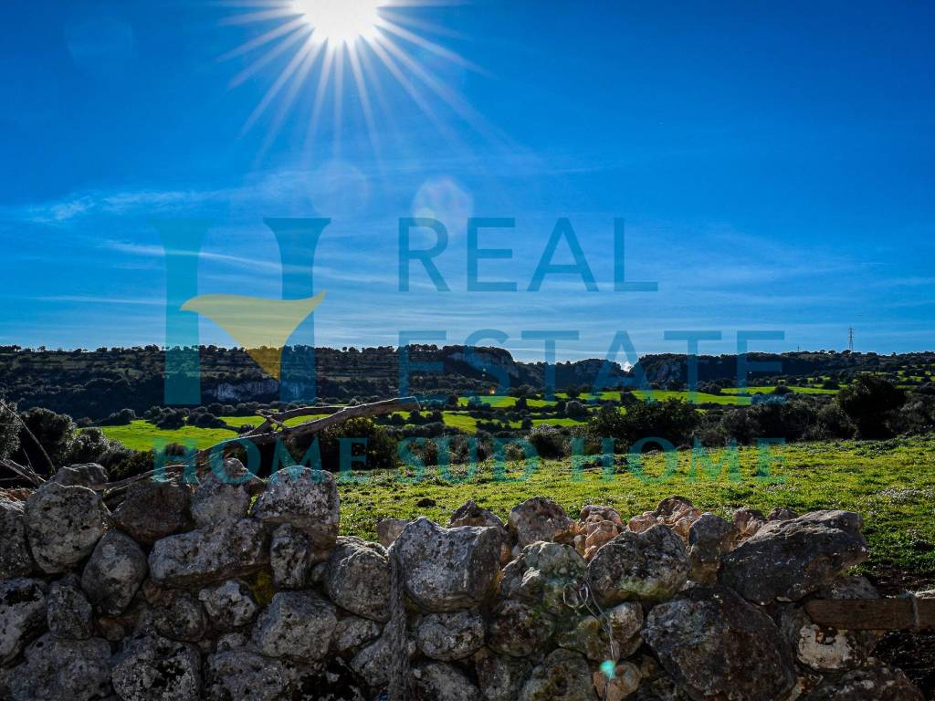 VISTA