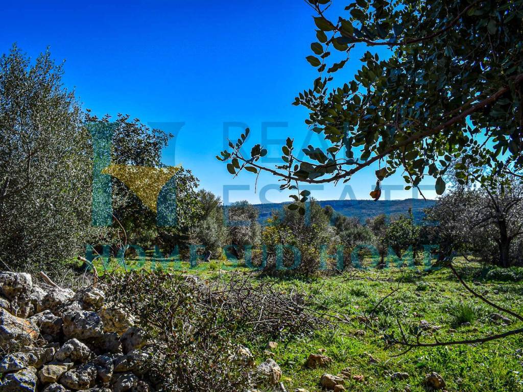 VISTA