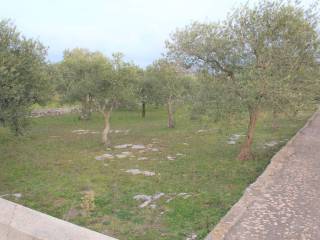 INGRESSO