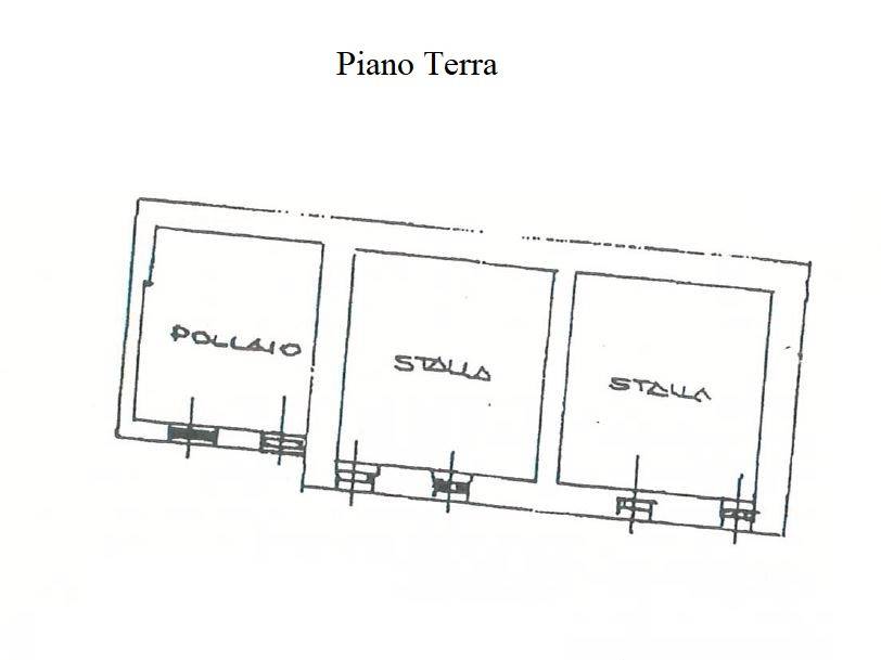 Pianta