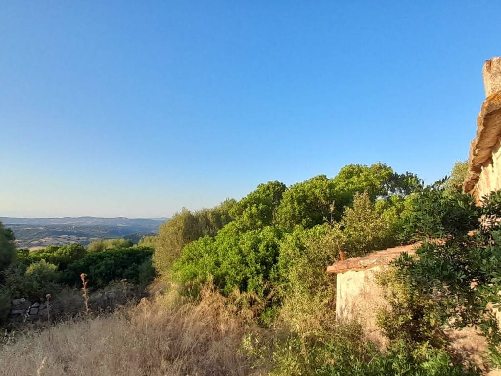 Terreno agricolo strada provinciale per luogosanto, luogosanto