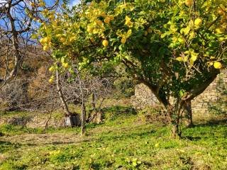 Foto - Vendita villa con giardino, Ogliastro Cilento, Cilento