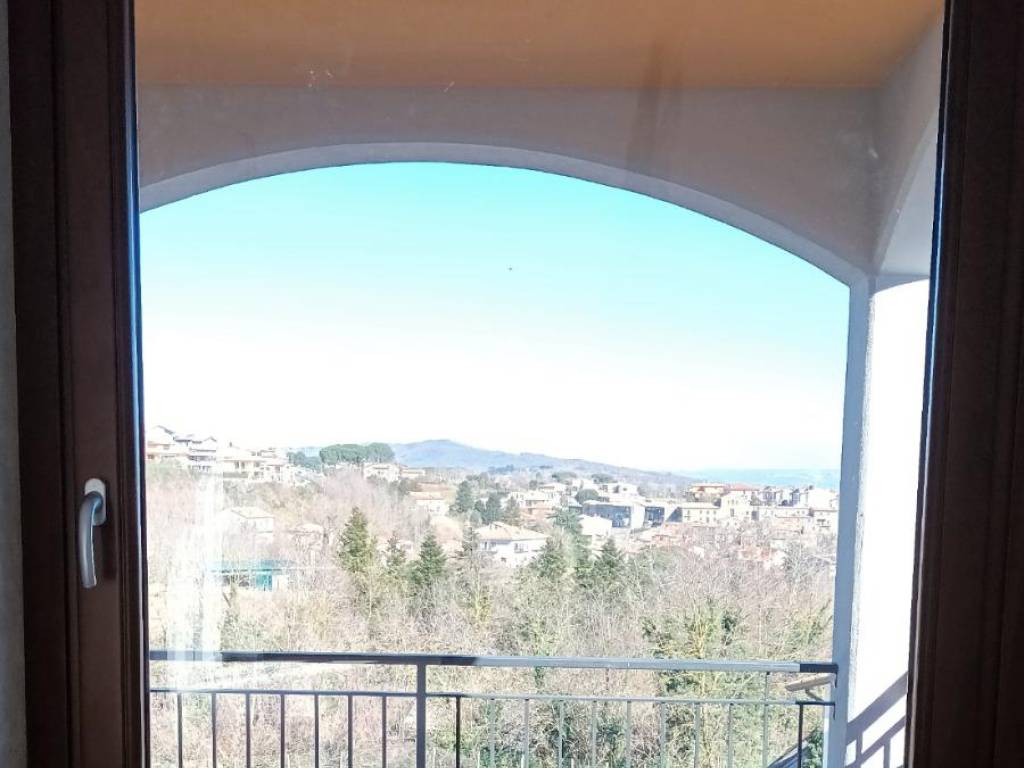 Vista