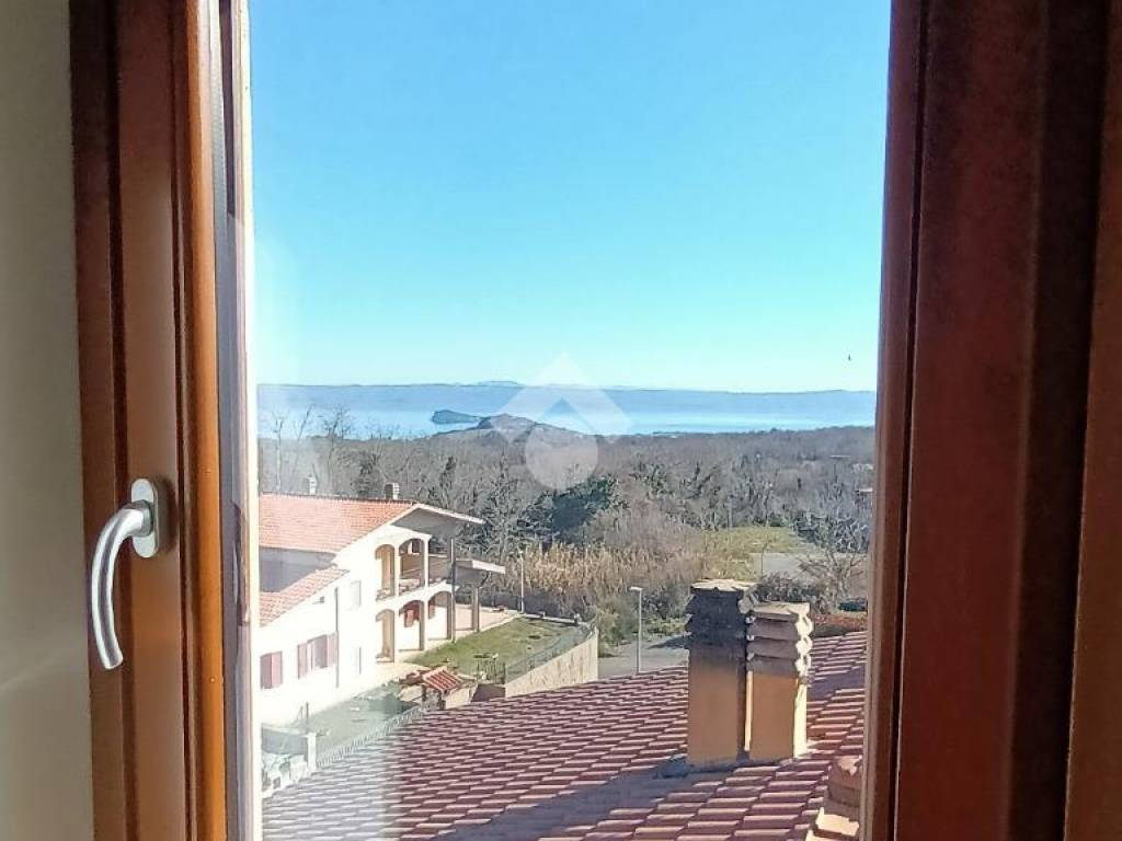 Vista