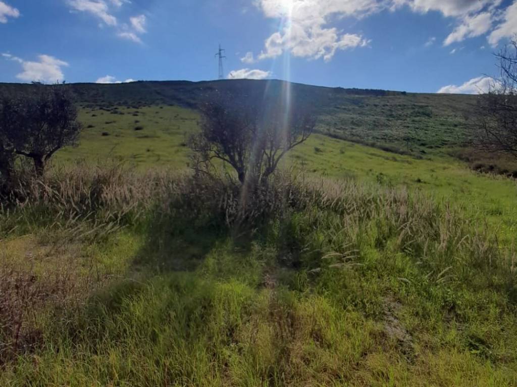 Terreno agricolo via piemonte, santa maria, catanzaro