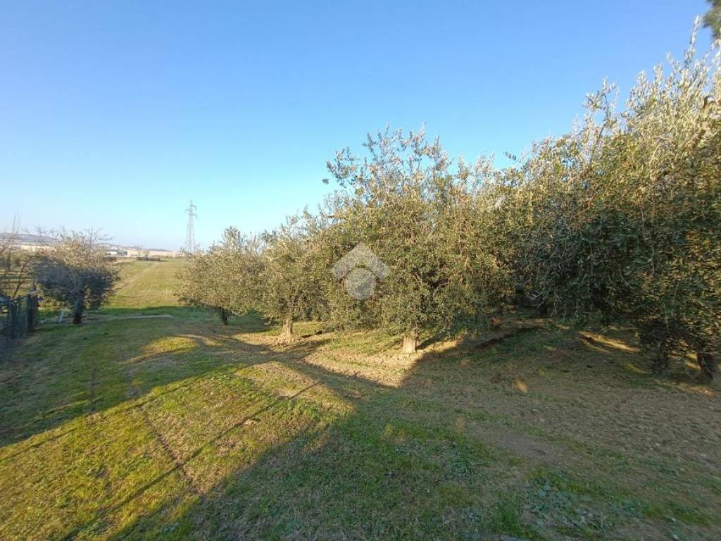 Terreno agricolo via sp27 1, torre san rocco, pineto