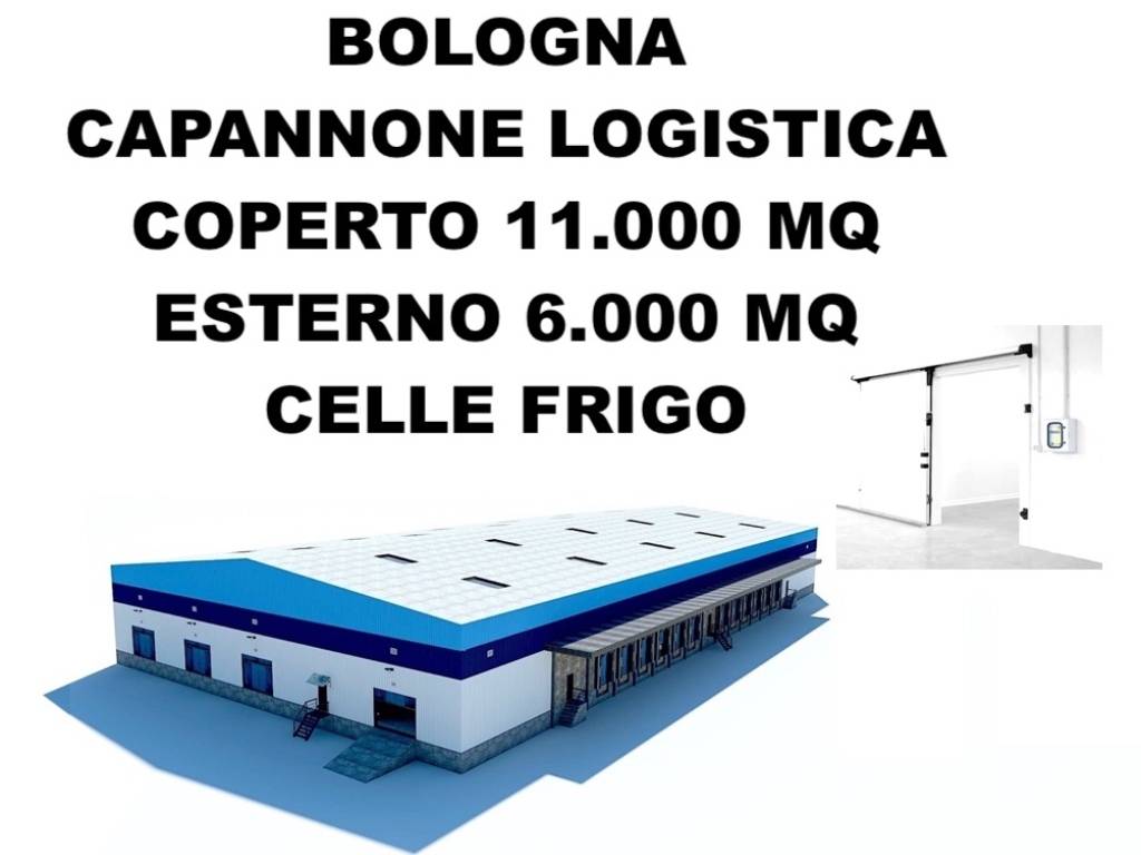 bologna cap11000 est6000