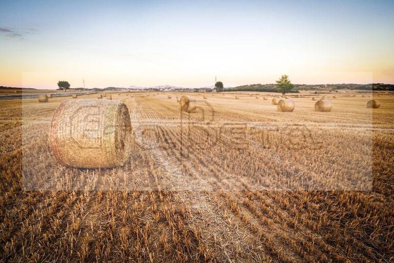 a terreno agricolo