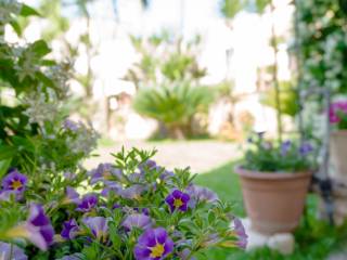 Vendesi a Lecce casa con giardino sulle mura