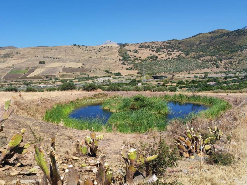 Terreno agricolo a19, cerda