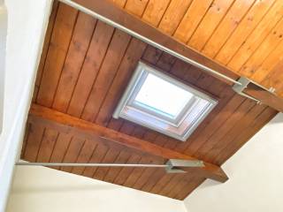 Velux