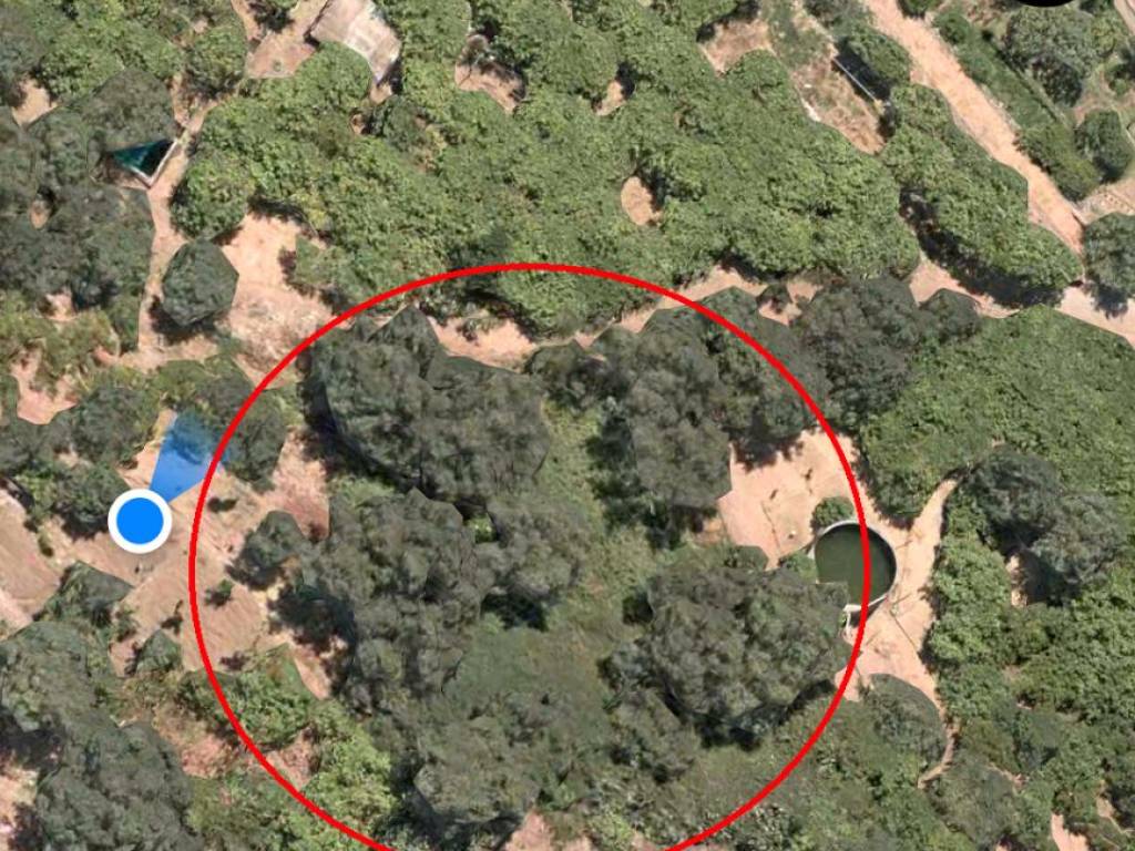 Terreno agricolo santo stefano medio, santa margherita - santo stefano, messina