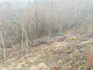 DETTAGLI