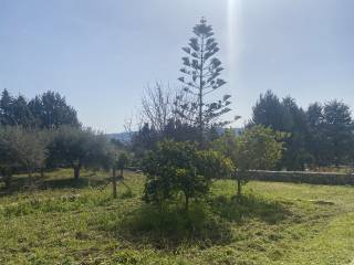 villa con piscina a canicattini bagni   37