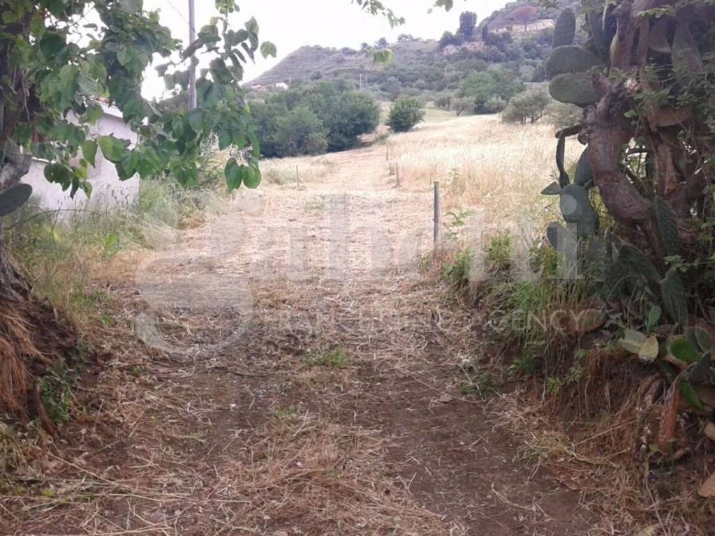 Terreno agricolo contrada provenzani, 1, patti