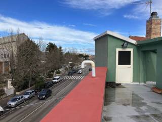 Vista