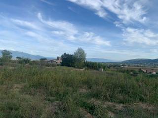 WhatsApp Image 2022-10-07 at 19.08.04 (1).jpeg